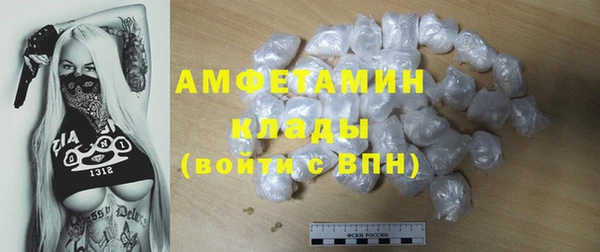 твердый Абаза