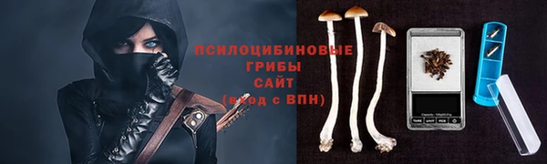 твердый Абаза