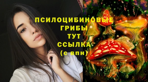 твердый Абаза