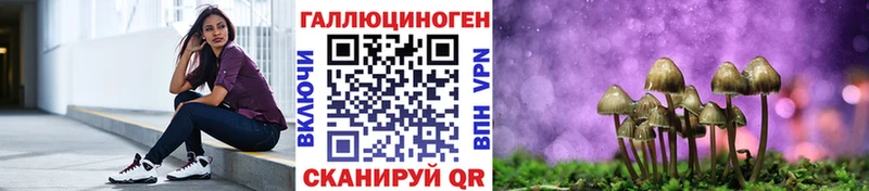где купить наркоту  Зея  Псилоцибиновые грибы прущие грибы 
